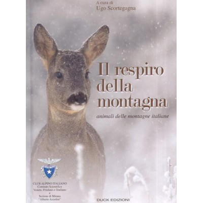 Il respiro della montagna
