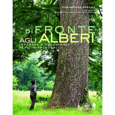 Di fronte agli alberi....