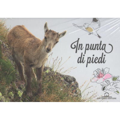 In punta di piedi