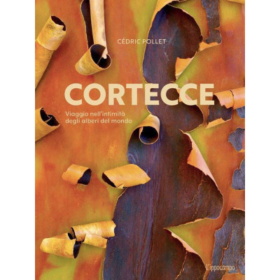 Cortecce
