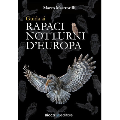 Guida ai rapaci notturni...