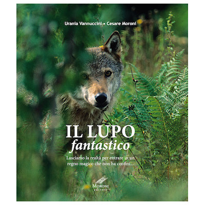 Il lupo fantastico