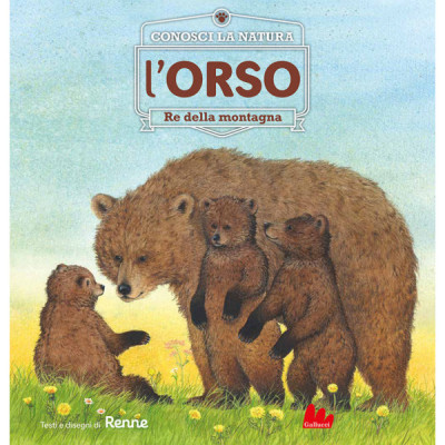 L'orso Re della montagna