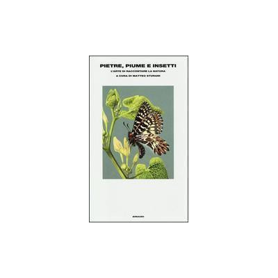 Pietre, piume e insetti