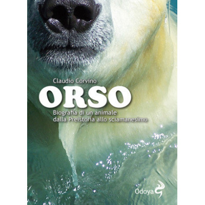 Orso
