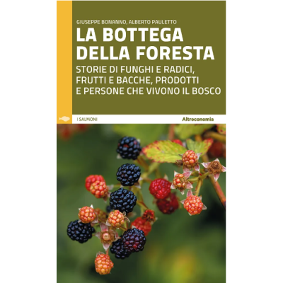 La bottega della foresta...