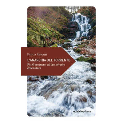 L'anarchia del torrente....