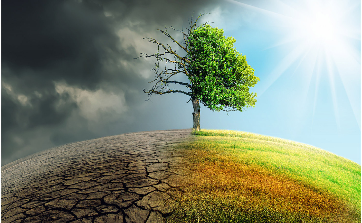 Il cambiamento climatico raccontato nei libri: un’analisi della letteratura contemporanea